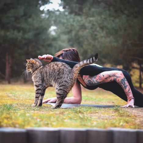 Czy joga jest dla każdego ?