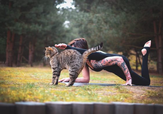 yoga joga