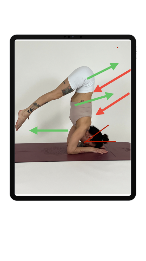 pincha mayurasana dagajoga